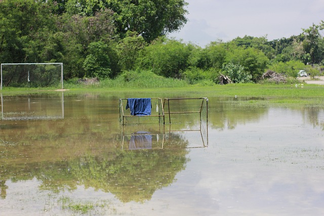 不同于传统 不同于传统