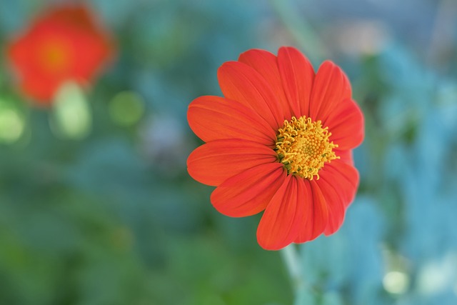 题迅速登上 题迅速登上