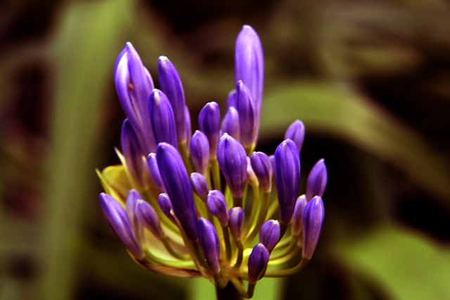 轻球员的潜 轻球员的潜